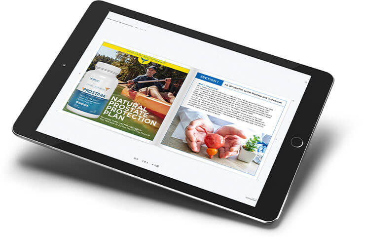 Prostara Ebook