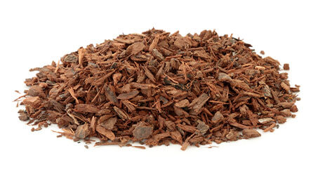 Pygeum Bark