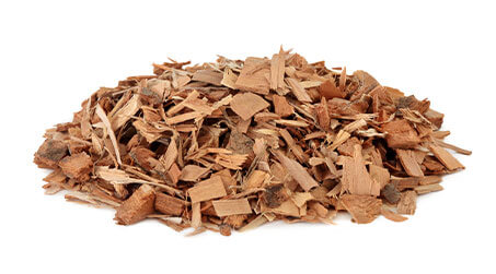 Saw Palmetto