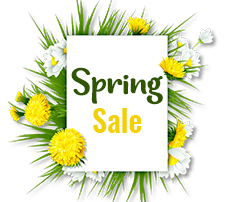 Spring Sale
